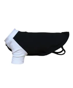 Dog’s raglan t-shirt