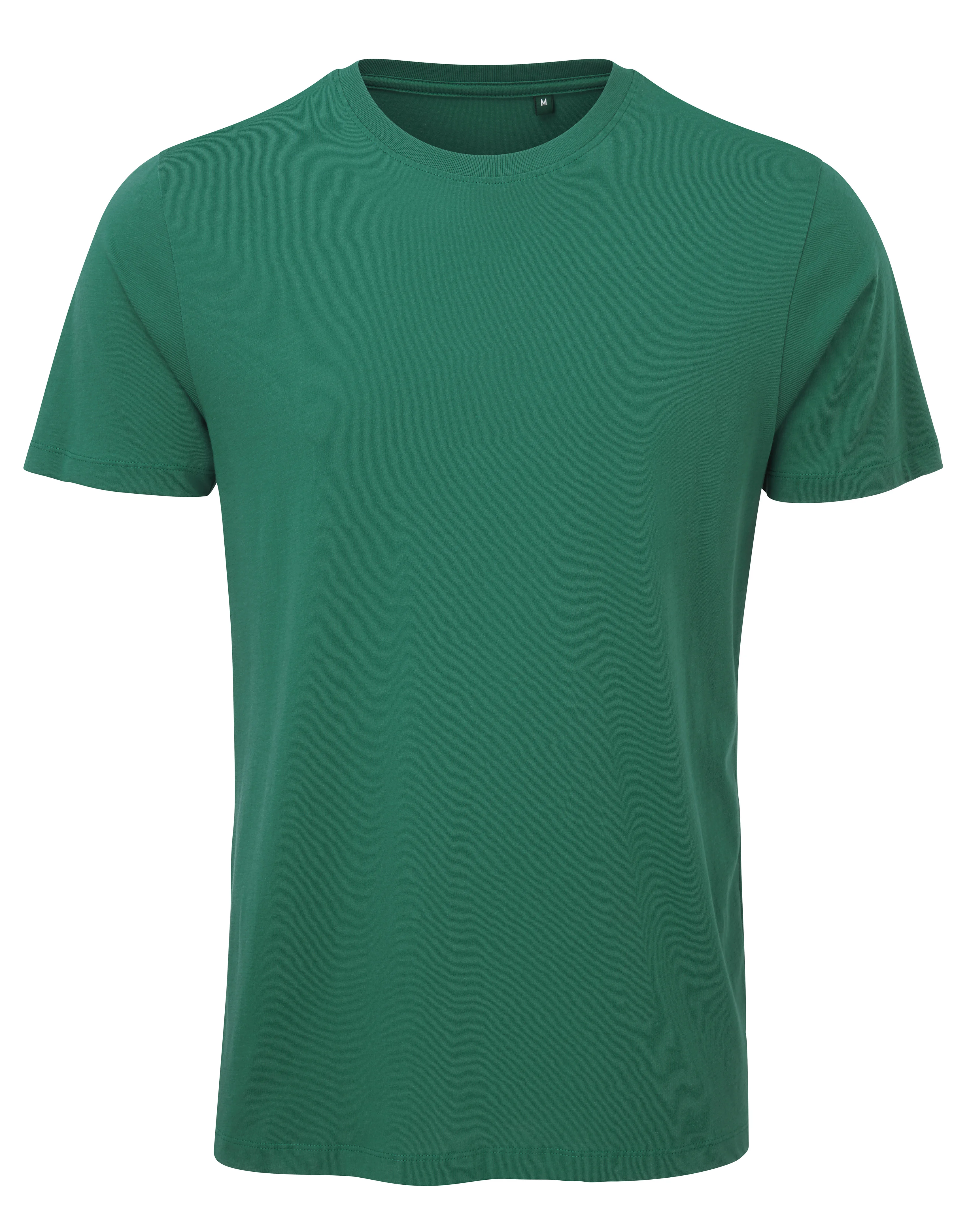 AM010_PineGreen_FT