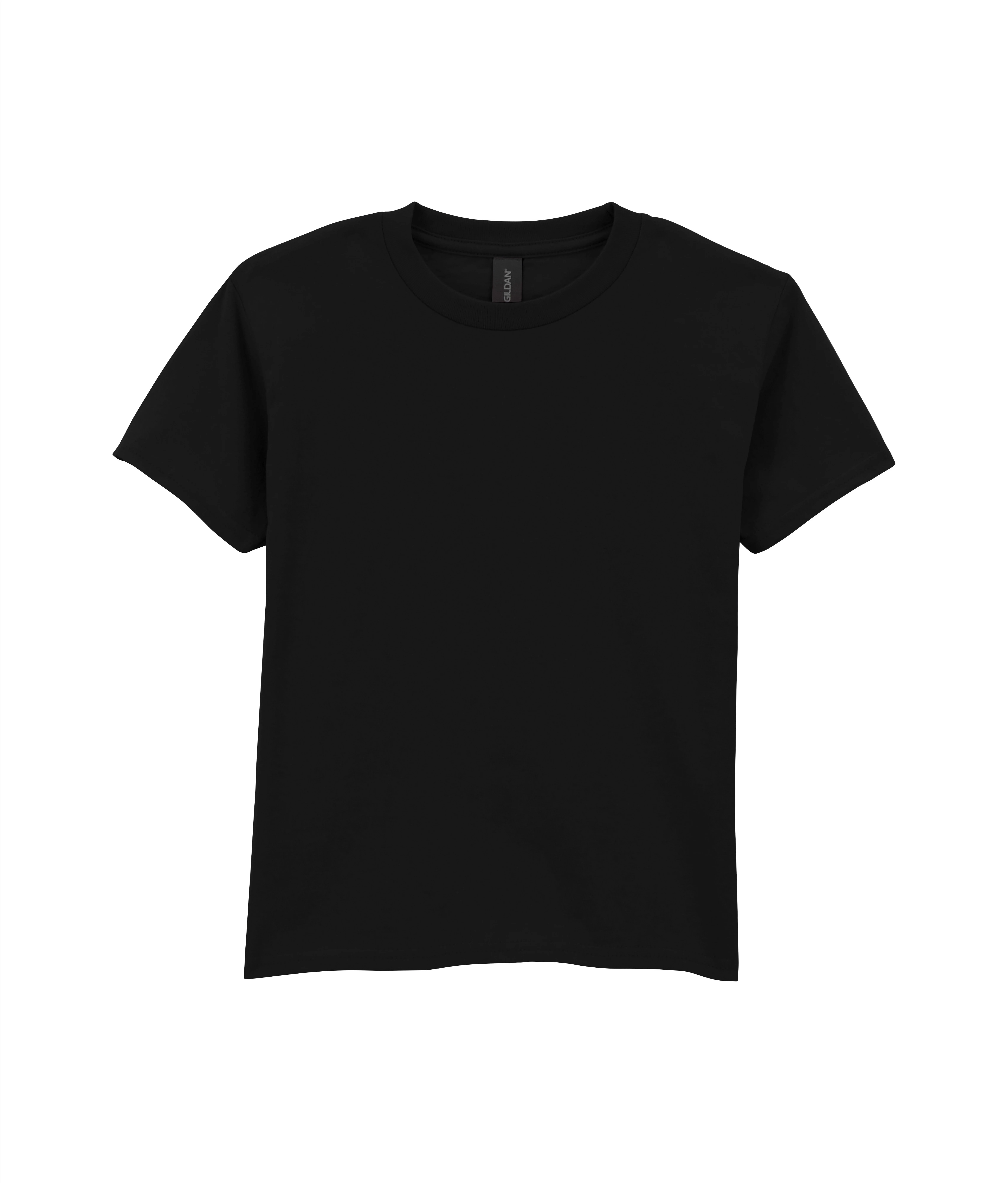 GD24B_LS20_2026