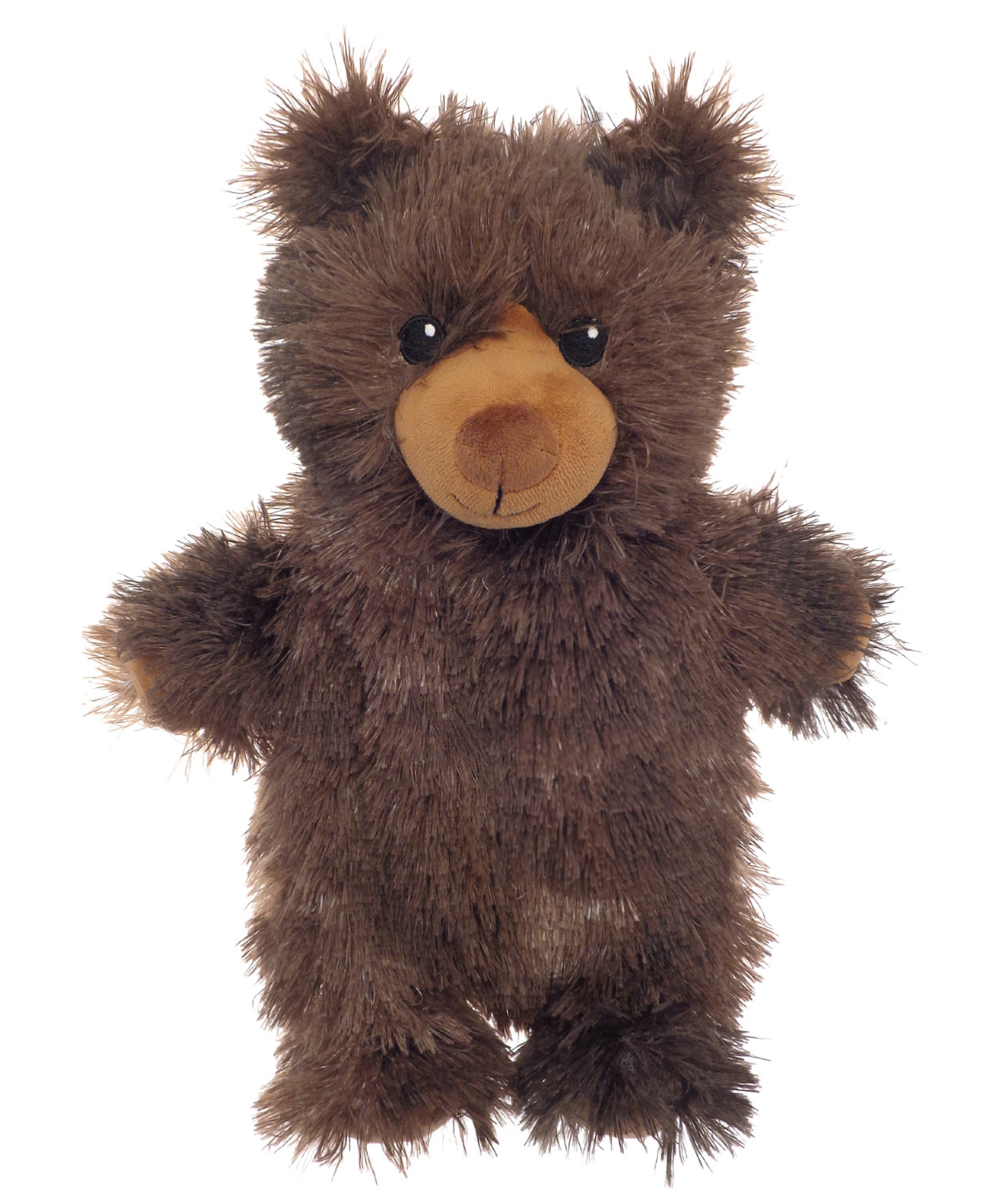 HL213_BrownBear_FT
