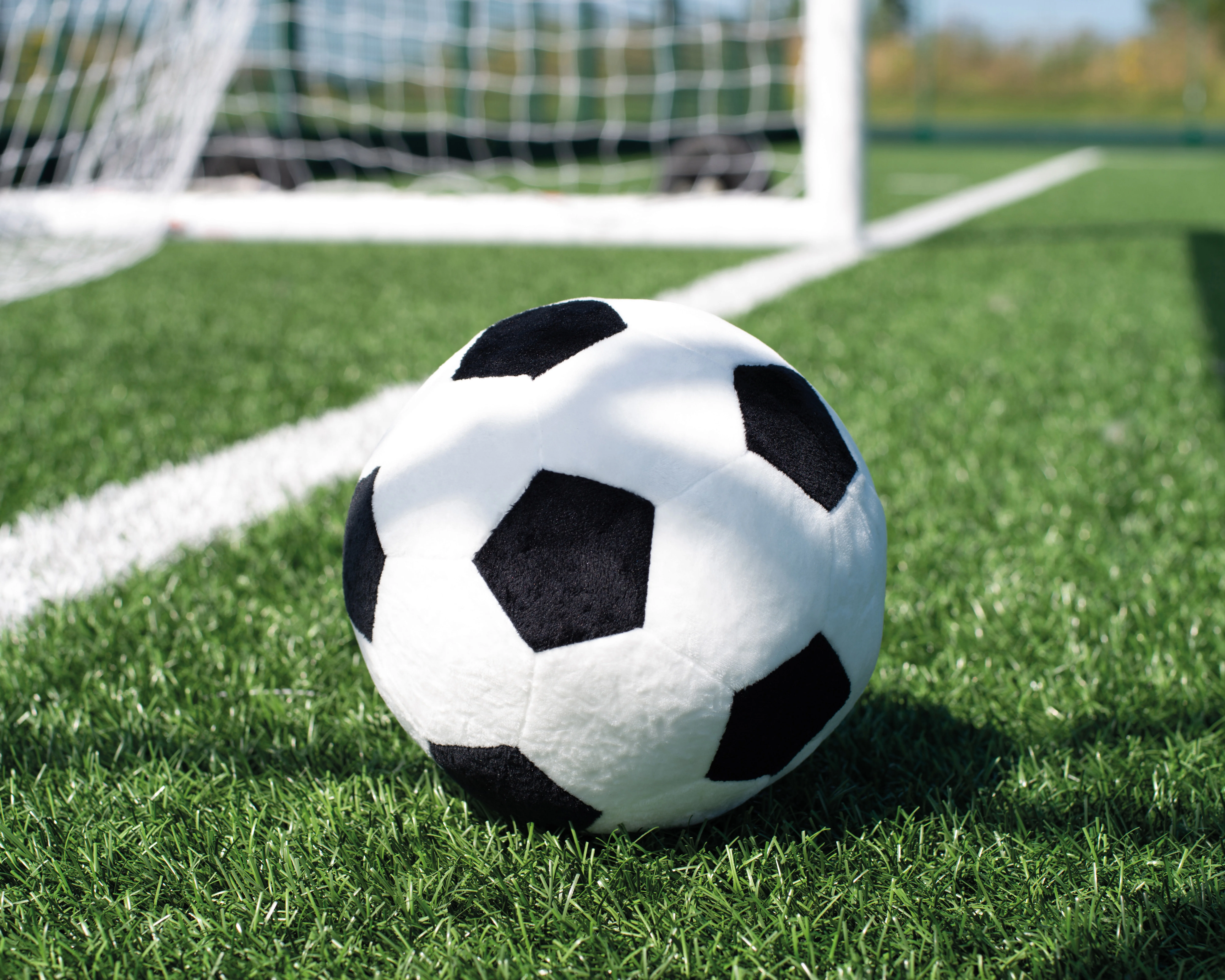 Mumbles Voetbal met rits