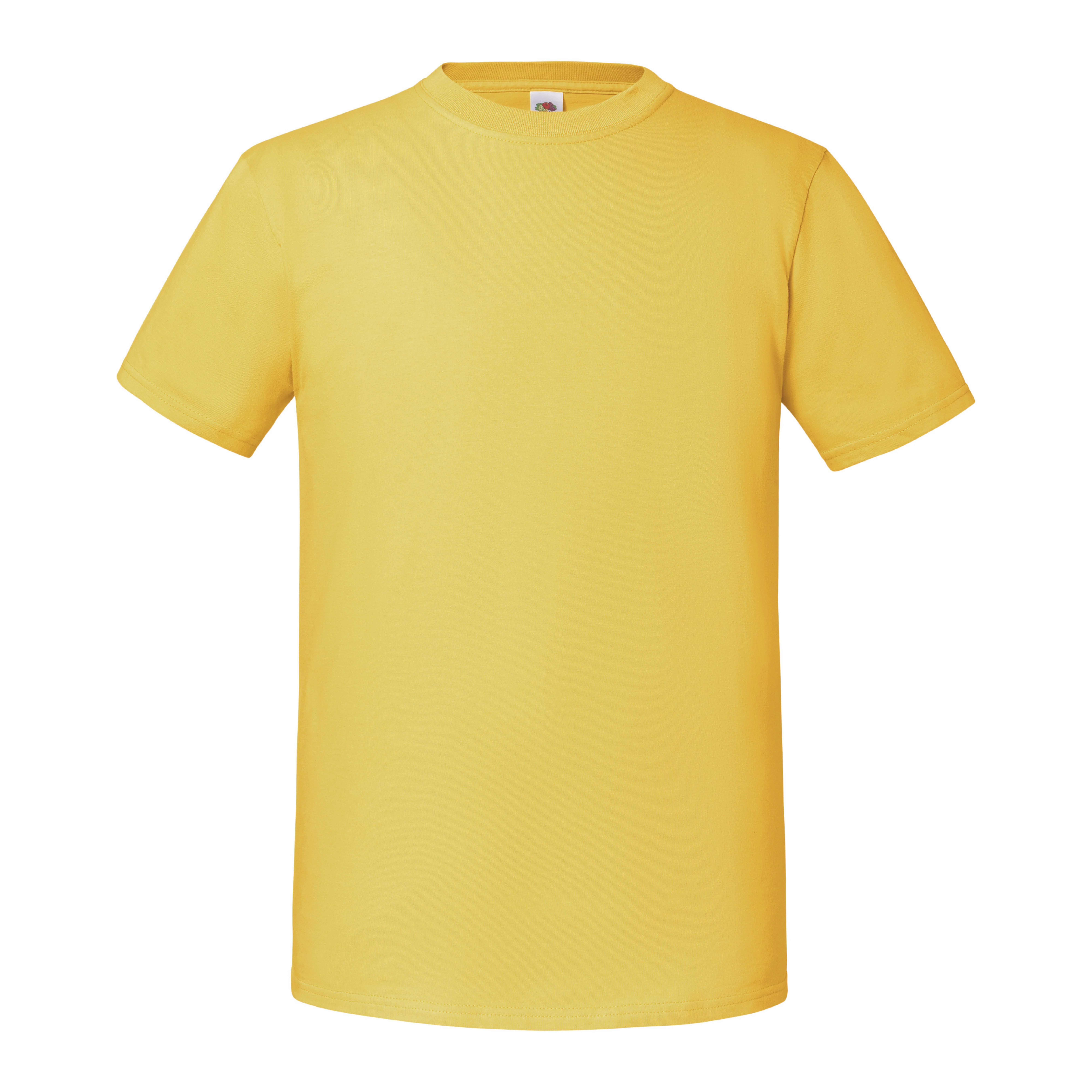 SS422_Sunflower_FT