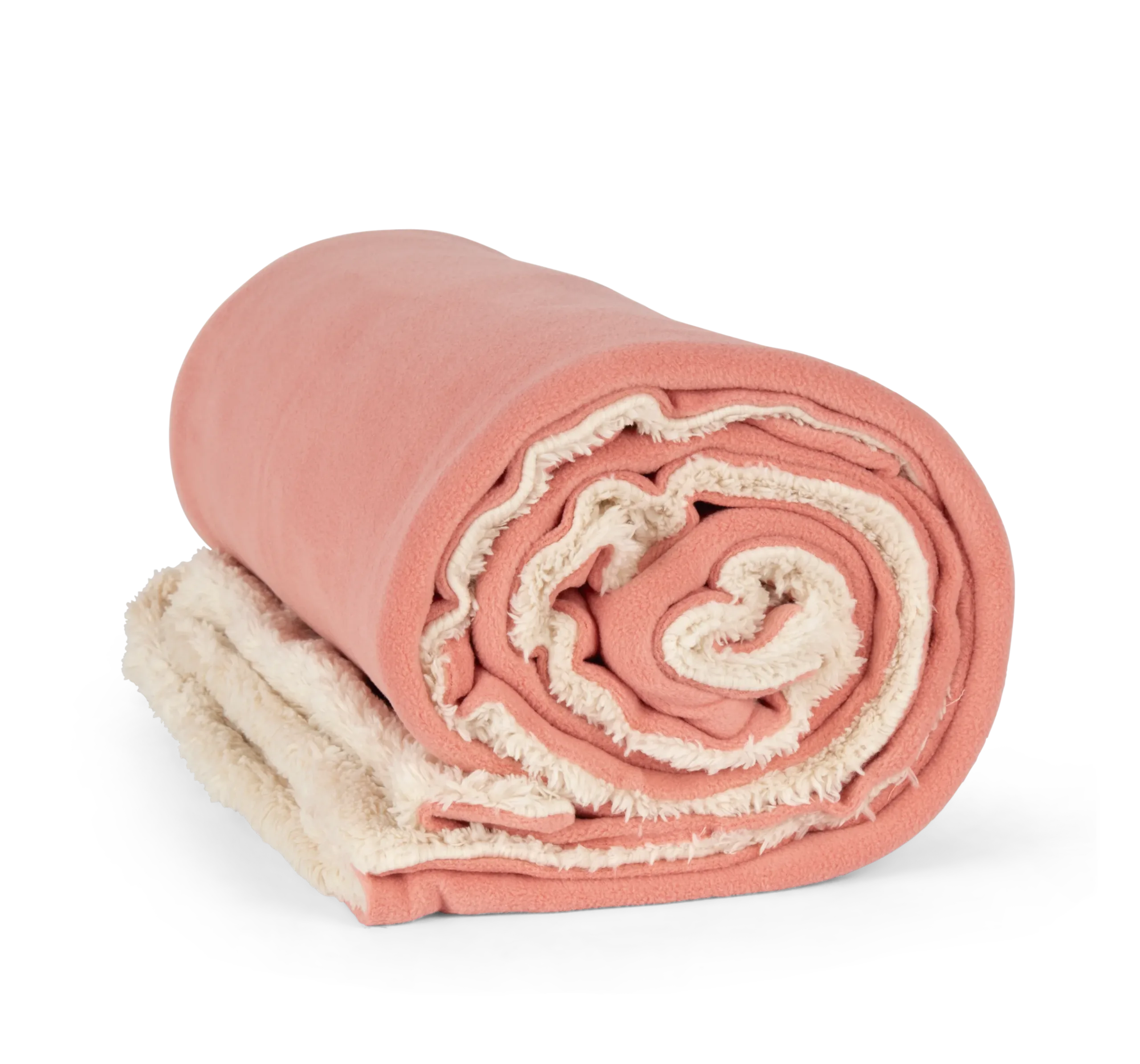KP431 PRALINEROSE