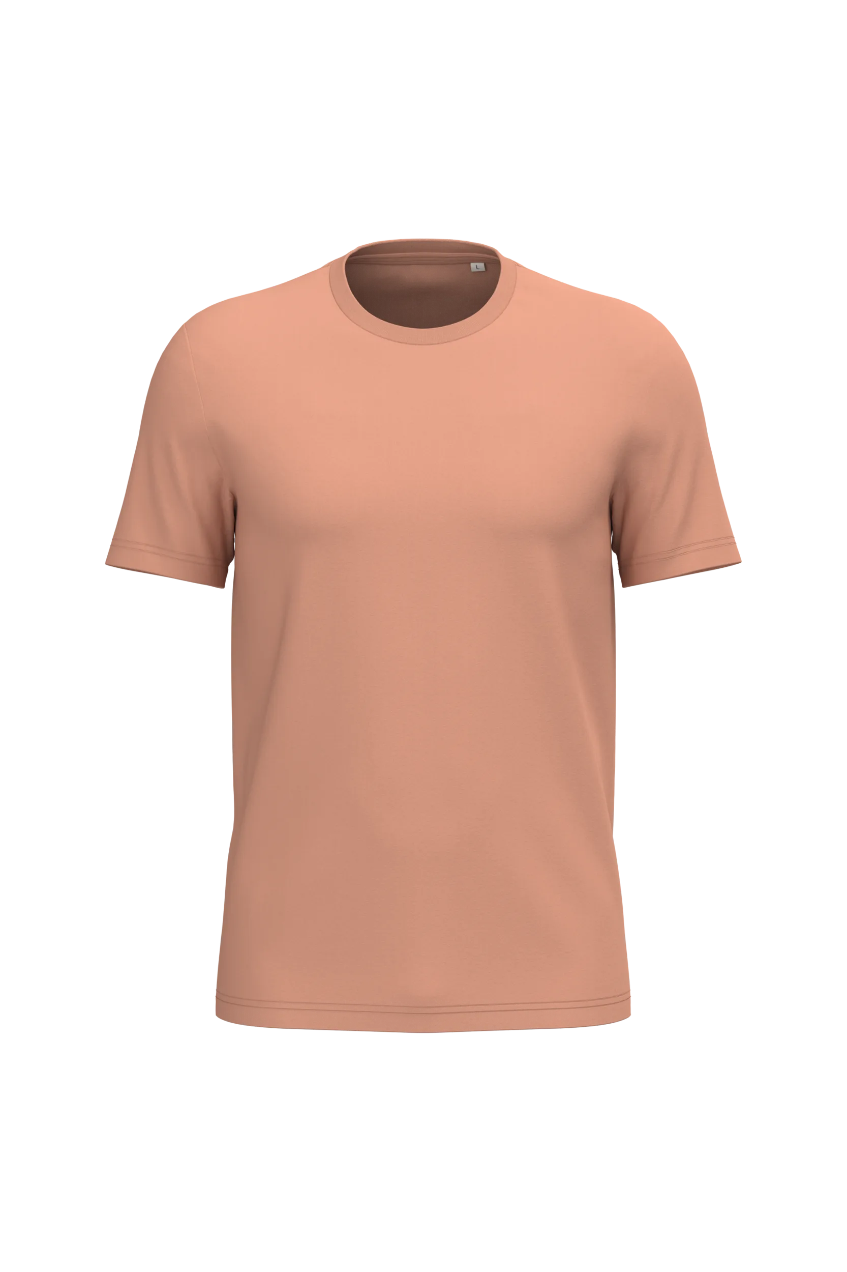 NS300 PEACH